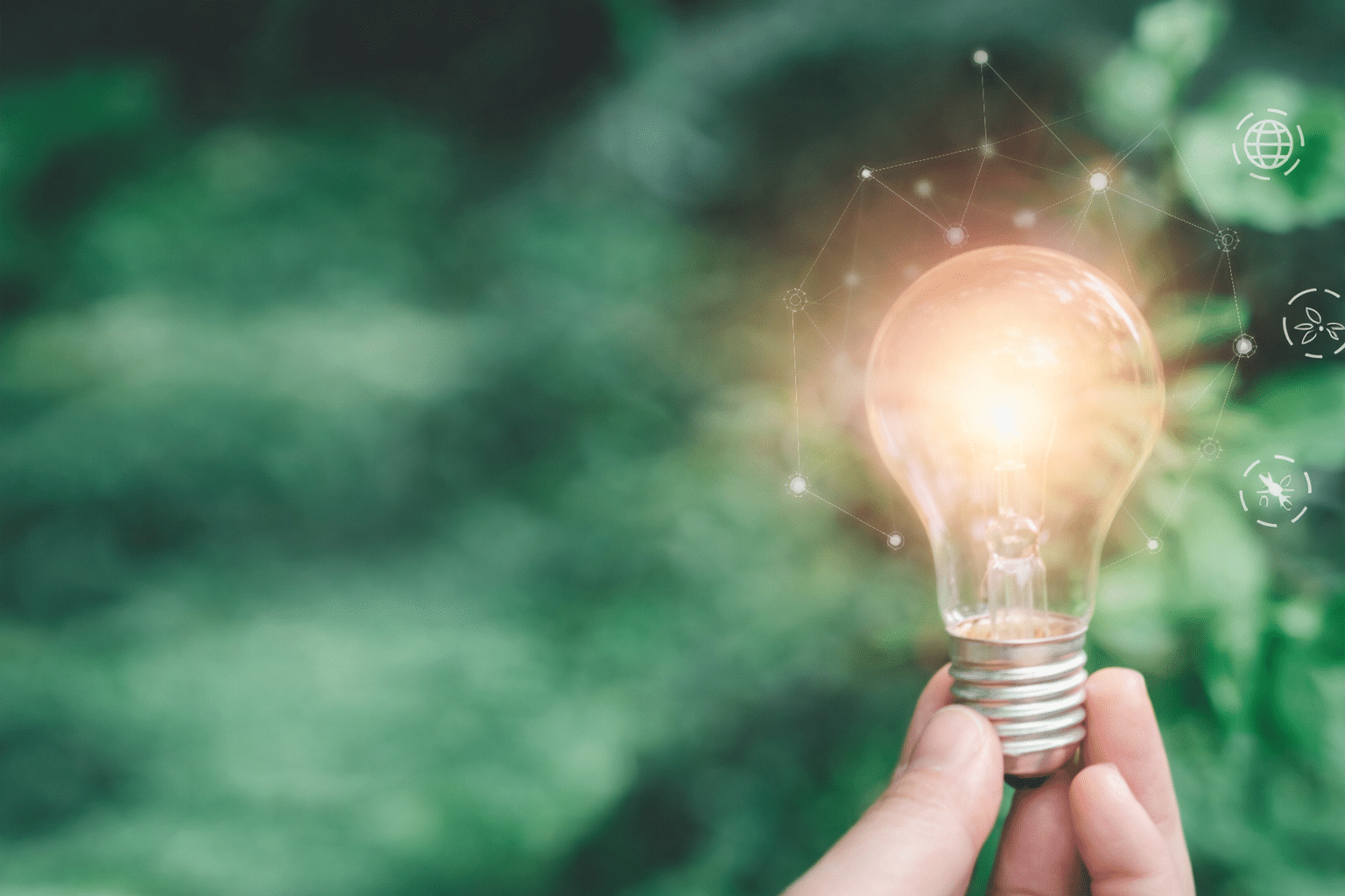Discover the latest news on energy efficiency. Rediscover this area as you've never seen it before.