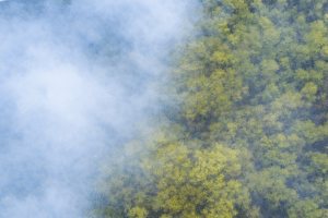 Discover the latest news on fire safety. Rediscover this area as you've never seen it before.